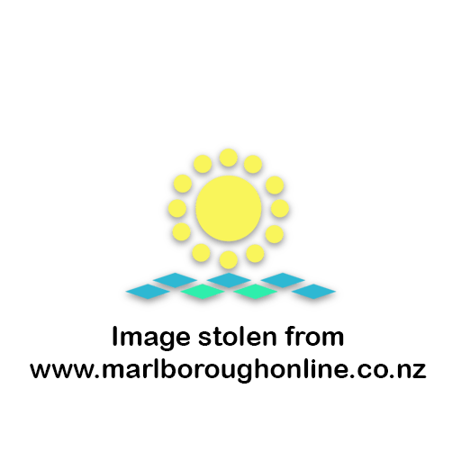 NZ Pipit (Anthus novaeseelandiae), pīhoihoi