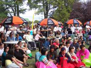 Crowd at Marlborough Multicultural Festival