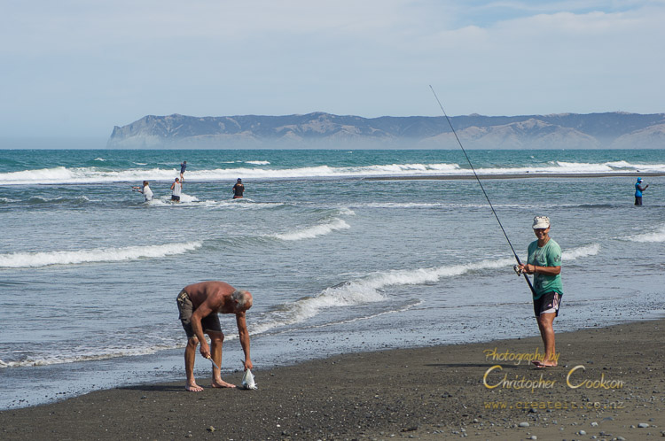 Fishing for Kahawai at the Wairau Diversion