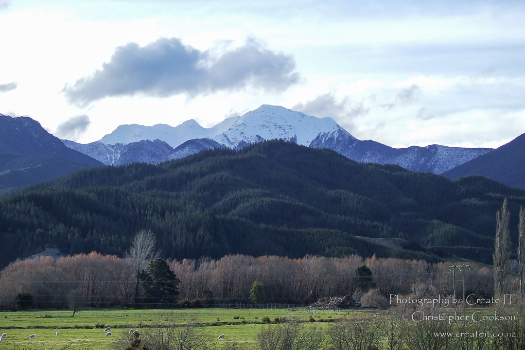 Farmland, forestry, and Mount Richmond Forest Park viewed from Wairau Valley golf course.