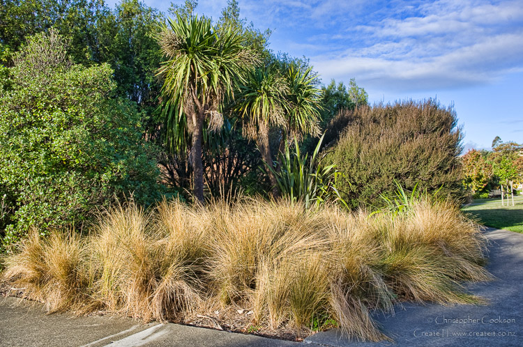 Glenhill Heights Reserve
