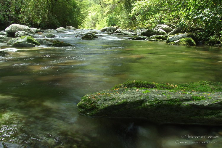 Pine Valley Stream, Mount Richmond Forest Park