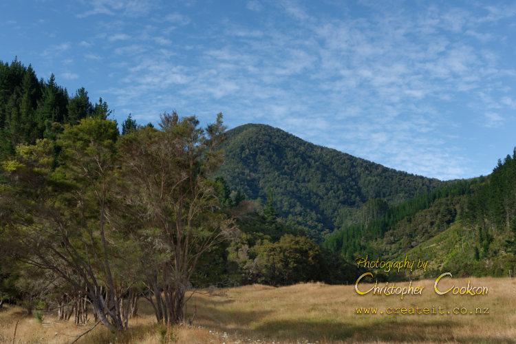 View at start of Waikakaho walkway