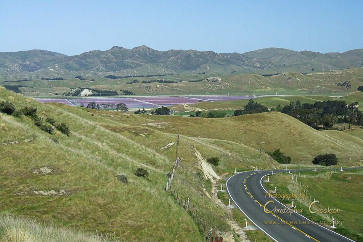 Lake Grassmere and State Highway One