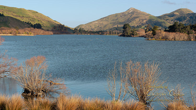 Lake Elterwater with Weld Cone in the background