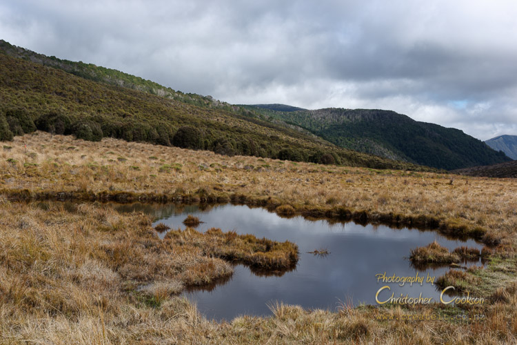 A tarn on the Red Hills